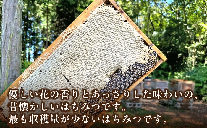 はちみつ 蓮華蜂蜜 国産 蜂蜜 ハチミツ ギフト箱入り セット 産地直送  贈答 ギフト おすすめ 人気 岐阜県 恵那市