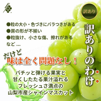 シャインマスカット 粒 約2.8kg 訳あり ぶどう 粒カット【配送不可地域：離島・沖縄県】【1687784】