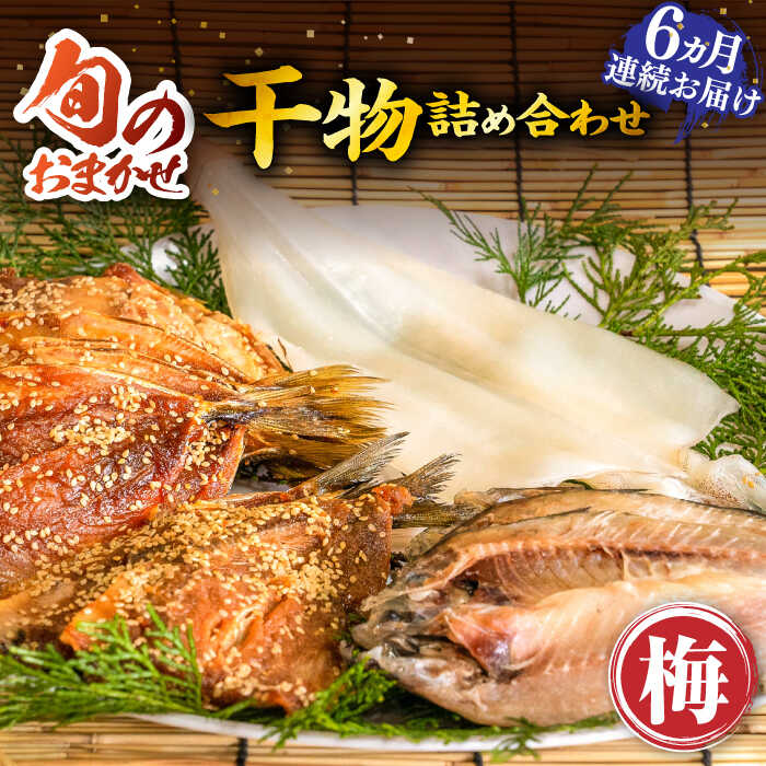 【ふるさと納税】【全6回定期便】旬のおまかせ 干物詰め合わせ 《梅》《壱岐市》【ひものや 塚元】[JDR010] 干物 ひもの あじ アジ いわし イワシ いか イカ 魚介 海鮮 和食 おつまみ