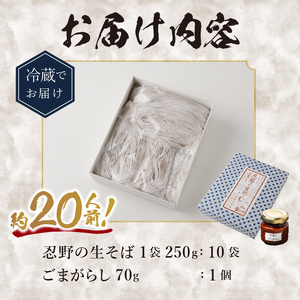 富士山の流水で作る”忍野の生そば”10個箱入り+ごまがらし1瓶