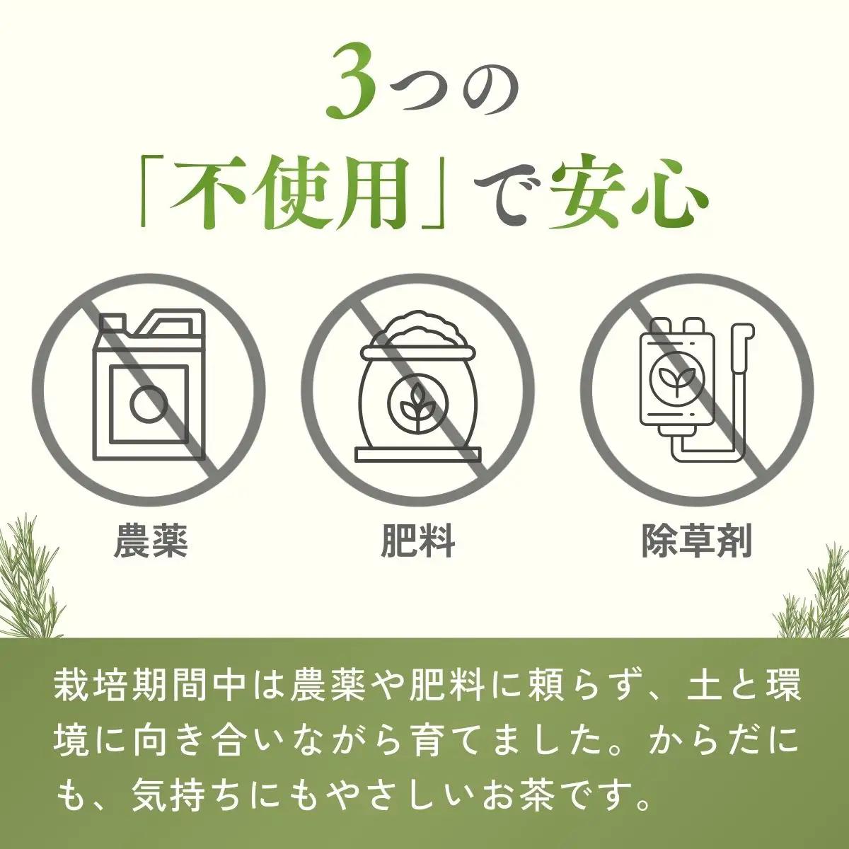 ハーブティー レモングラス茶(狭山茶ブレンド) 2袋セット | ハーブティー お茶