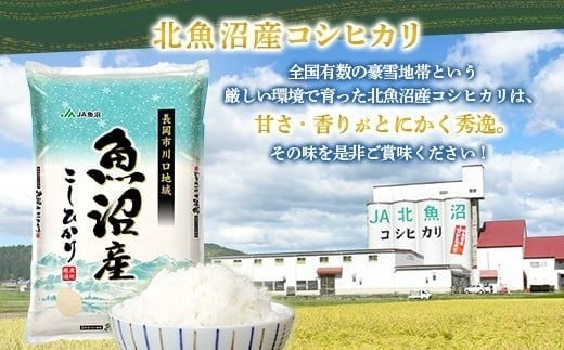 【12ヶ月連続お届け】北魚沼産コシヒカリ(長岡川口地域)5kg