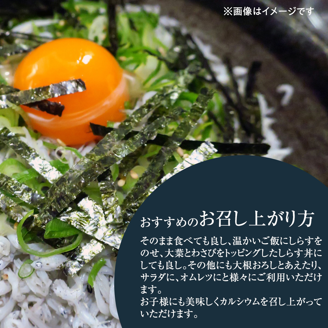 大津港水揚げ しらす干し 500g (250ｇ×2パック×1箱) (茨城県共通返礼品：北茨城市) しらす しらす丼 国内 水揚げ 新鮮 シラス 海鮮 冷凍 子ども カルシウム 減塩