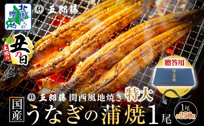 099H3443-1d 【7/26土用の丑の日】五郎藤 関西風地焼き 国産有頭旨鰻 250g×1尾 計約250g 【贈答用 特大 うなぎ ウナギ 蒲焼き 炭火】