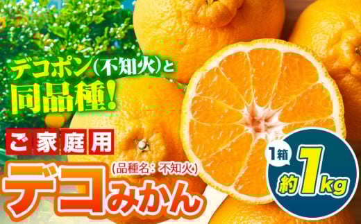 デコポン ( 不知火 )と同品種！デコみかん 熊本県産 (津奈木町産含む) 訳あり 約1kg前後 柑橘《2月中旬-4月末頃出荷》 みかん フルーツ 不知火 先行予約 訳あり 訳アリ ご家庭用 でこみかん 果物 予約受付