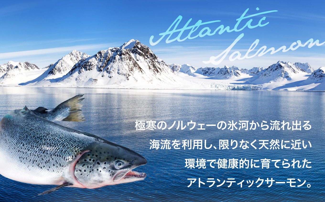 アイスバーグサーモン（アトランティックサーモン）　約1kg（約200g×5袋）| アイスバーグサーモン アトランティックサーモン 産地直送 冷凍 お取り寄せ サーモン 切り身 北欧 ノルウェー オメガ