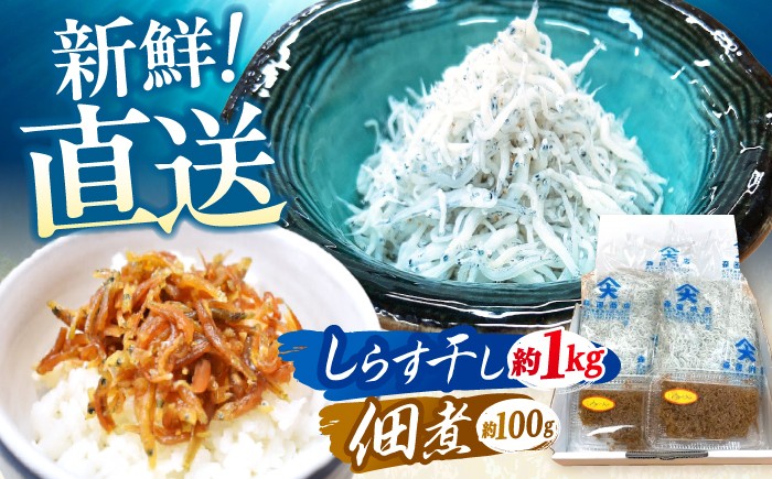 
            しらす干し（約1kg）と佃煮（約100g）セット/森国商店 浜で瞬時に釜出し 高知のしらす【グレイジア株式会社】 [ATAC486]
          