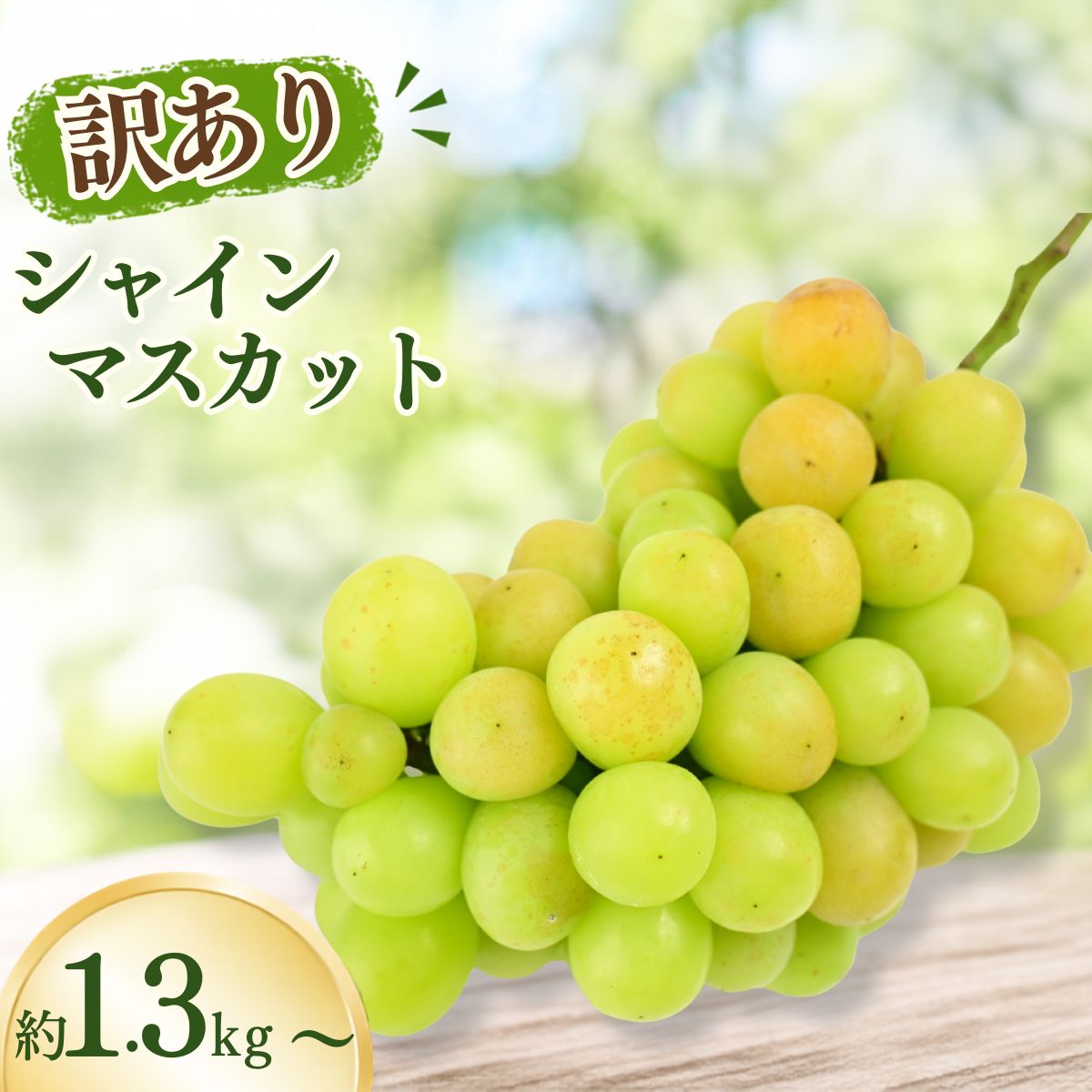 【ふるさと納税】 【農家直送（収穫日に発送）】訳アリ シャインマスカット 約1.3kg～約3kg | 訳あり 訳アリ シャインマスカット 種なし ぶどう 詰め合わせ 農家直送 収穫日発送 新鮮 フルーツ 果物 お取り寄せ 季節限定 愛知県 豊田市