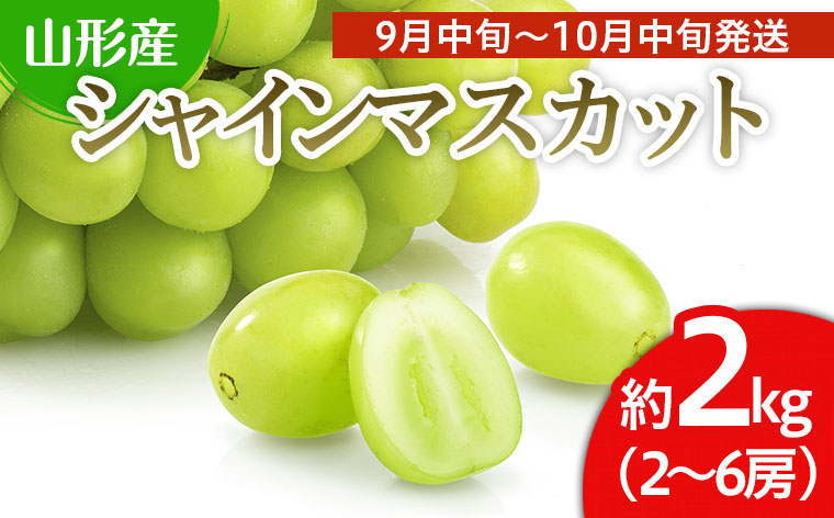 山形市産 シャインマスカット 秀 2kg(2～6房)[前半] 【令和6年産先行予約】FU22-712