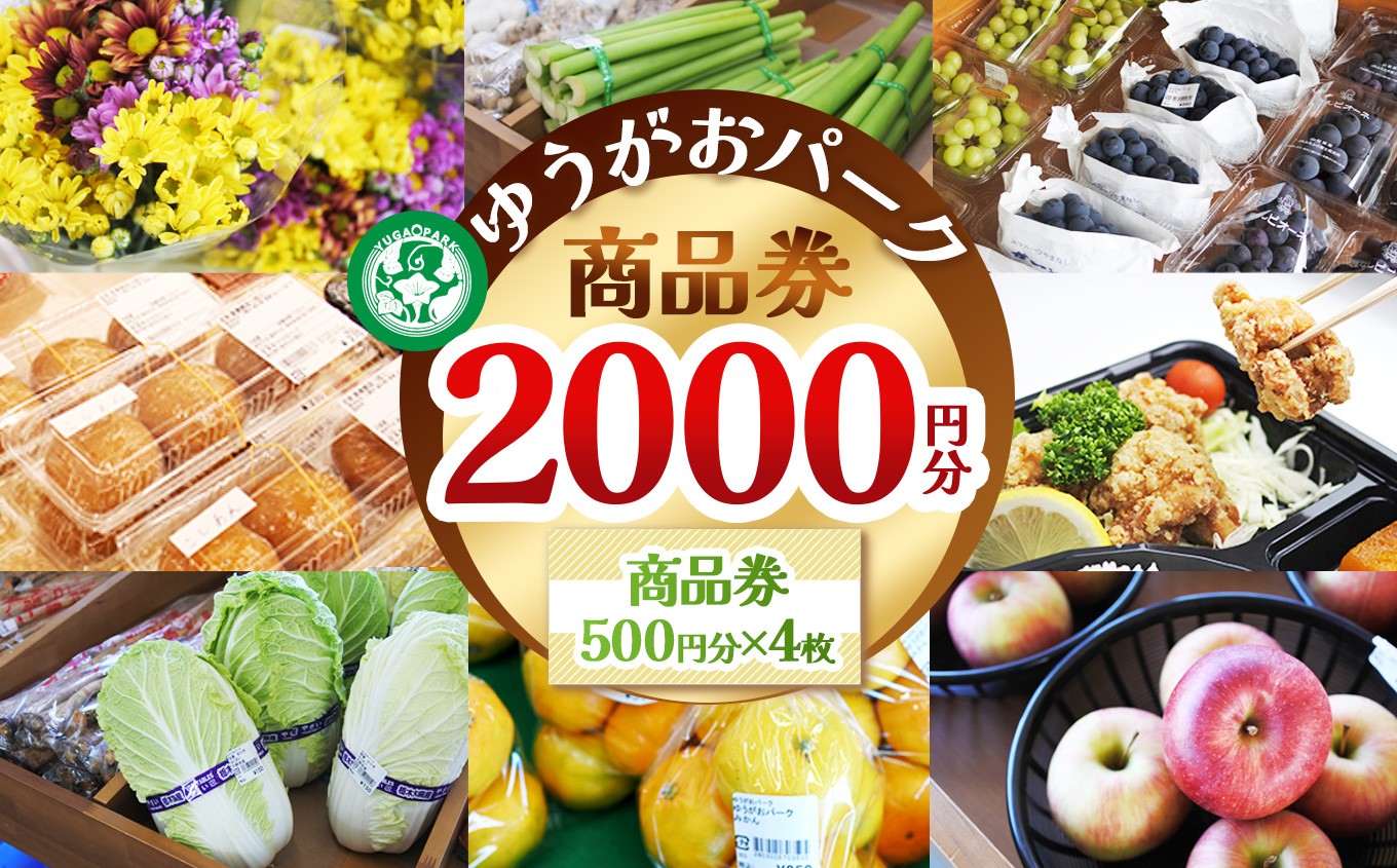 
                  ゆうがおパーク商品券 2,000円分 | 商品券 農産物直売所 ギフト券 産直ギフト 地元野菜 地元応援 新鮮野菜 特産品 プレゼント 野菜直売所 農家 栃木県 下野市
                