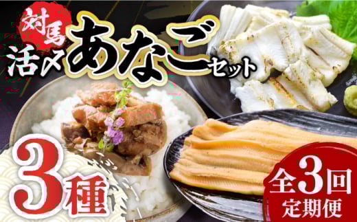 【全3回定期便】対馬 産 活〆 あなご セット《対馬市》【対馬地域商社】九州 長崎 煮あなご 佃煮 アナゴ [WAC018]冷凍 新鮮 あなご 穴子 下処理 寿司 あなご重 天ぷら おかず もう1品 おつまみ おにぎり ちらし寿司 海鮮 魚介 長崎 対馬 揚げ物 定期便 毎月届く