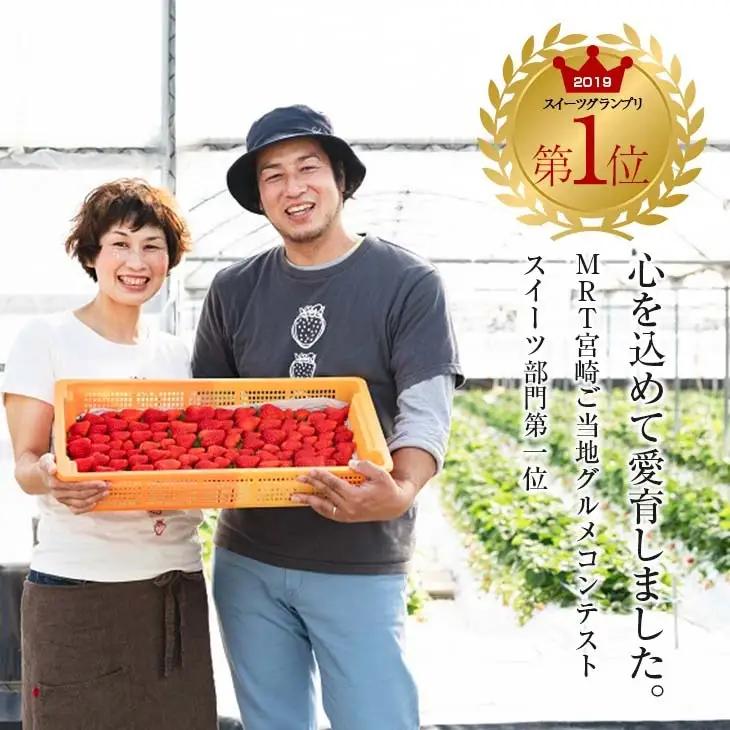 グランプリ受賞 数量限定 冷凍いちご シロップ付 計1kg+170g 【まるまるタイプ】_BAV3-24