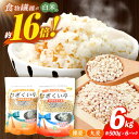 【ふるさと納税】【最速発送】むぎくい亭(丸麦500g×6・裸麦500g×6) 計6kg / 麦 丸麦 はだか麦 麦味噌 麦ごはん 麦みそ 雑穀 雑穀米 食物繊維 / 諫早市 / 有限会社伊東精麦 [AHBU002] スピード 最短 最速 発送