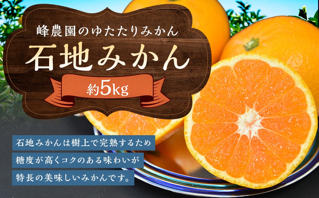
                  峰農園のゆたたりみかん【石地みかん】5kg フルーツ 果物 くだもの 柑橘 みかん さがみかん 太良みかん 温州みかん 美味しい 希少品種 石地みかん 中生温州みかん ミネラル豊富 多良岳山系の水 有明海の潮風 贈答用 お中元 お歳暮 産地直送 佐賀県 太良町 M87x1 【2026年12月上旬-2027年1月下旬発送予定】
                