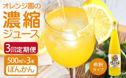 オレンジ園の濃縮ジュース ぽんかん 500ml 3本 3回定期便 希釈用 みかんジュース チューハイ用 ドリンク ジュース 柑橘類 蜜柑 みかん【J00106】