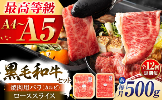 【全12回定期便】くまもと黒毛和牛「藤彩牛」2種の食べ比べ計500g 3900 / 牛肉 焼肉 藤彩牛 黒毛和牛 焼肉用 ブランド牛 特産品 熊本県 菊陽町【株式会社フジチク】 [BHAD038]