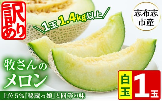 【春限定・数量限定】牧さんの訳ありメロン 白玉(青肉)1玉 a1-058-s