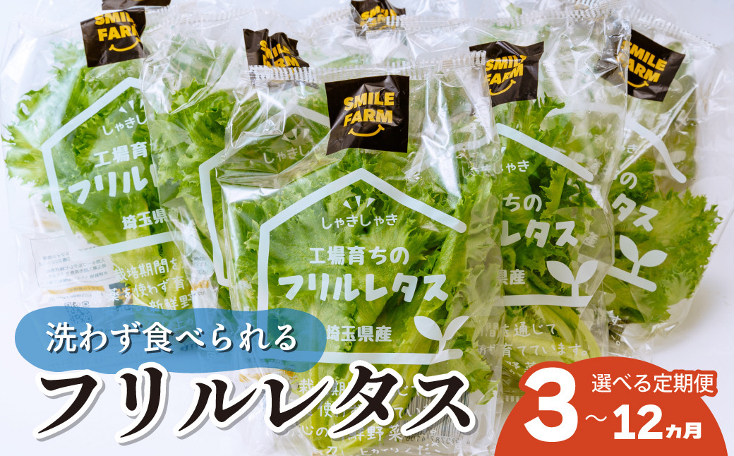 
            【選べる定期便】 ＜洗わず食べられる・室内水耕栽培＞ フリルレタス 1回8袋(80～110g/袋)×3～12ヵ月 | レタス 野菜 大容量 新鮮レタス オーガニック野菜 無農薬 野菜直送 フレッシュ サラダ用野菜 健康志向 こだわり フレッシュ 産地直送 食品ギフト セット 緑黄色野菜 新鮮 安心野菜 旬 低カロリー レタスボウル カロテン 定期便 スマイル農場 埼玉県 東松山市
          