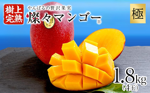 【2026年7月から順次発送・最高級ランク極】燦々マンゴー1.8kg(4玉)【配送不可地域：離島】