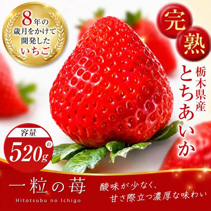 【先行予約】完熟いちご とちあいか 520g
