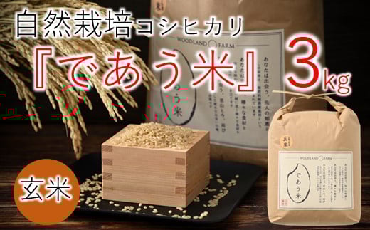 数量限定 米 3kg 令和7年産 新米 こしひかり 自然栽培 玄米 栄養 豊富 お米 こめ おこめ ご飯 ごはん R7 2025年産 こだわり おいしい 美味しい であう米 石川県 能登 羽咋