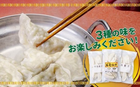 肉餃子 野菜餃子 海老餃子 人気3種 食べ比べセット 90個(各30個) 冷凍  餃子