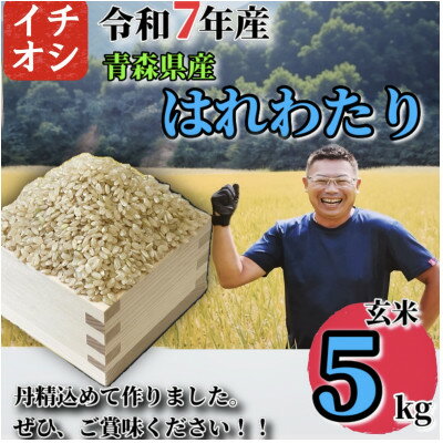 【ふるさと納税】【令和7年産】青森県産 はれわたり 玄米 5kg【配送不可地域：離島・沖縄県】【1684625】