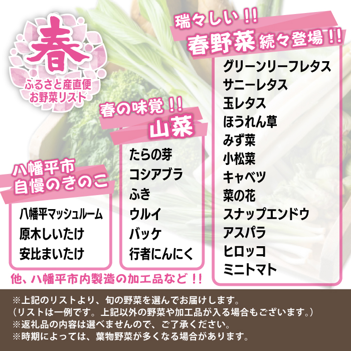 【旬の野菜をお届け】八幡平のふるさと産直箱（小）／ 産地直送 新鮮 野菜 【あすぴーて】