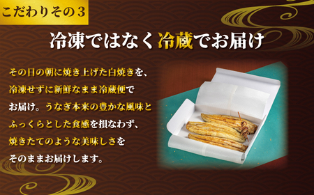 国産うなぎ 白焼き 3枚 約120g×3 定期便6回 うなぎ うなぎ うなぎ うなぎ うなぎ 石毛川魚店