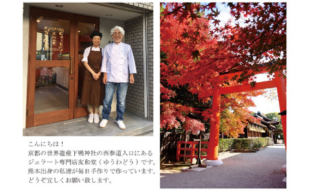 やまえ栗 ジェラート 8個 友和堂 《10月上旬-12月中旬頃出荷》 熊本県 球磨郡 山江村 スイーツ お菓子 洋菓子 アイス 栗 くり