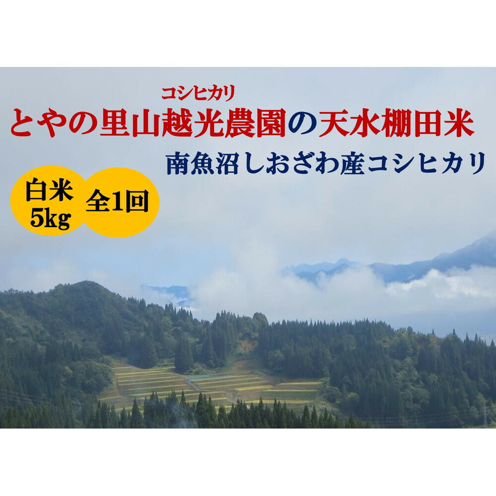 【ふるさと納税】「とやの里山継承プロジェクト対象」【天水棚田米】南魚沼塩沢産コシヒカリ　精米5kg全1回