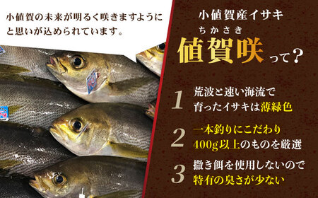 【高級魚】 うまかドン イサキ漬け 5個   [DAK005] 海鮮丼