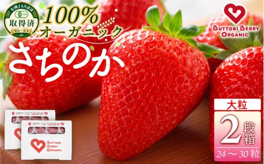 オーガニック いちご 大粒 約24～30粒 《1月末から5月発送》 有機JAS認証 ORGANIC 甘い 苺 イチゴ 果物 フルーツ 産地直送 新鮮 ストロベリー ジャム スムージー 期間限定 徳島 無農薬 完全無農薬 人気 ギフト プレゼント 贈答用 ケーキ スイーツ