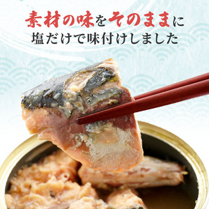 サバ缶 若狭 水煮 24缶 缶詰 常温保存 備蓄 サバ缶