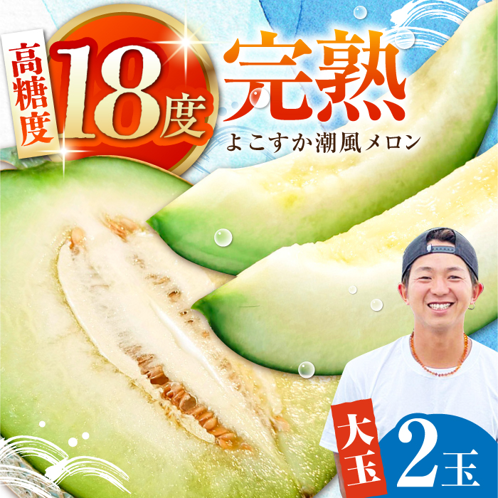 よこすか潮風メロン 大玉4L 2玉セット 計約3kg 【井上農園】 [AKDJ001]