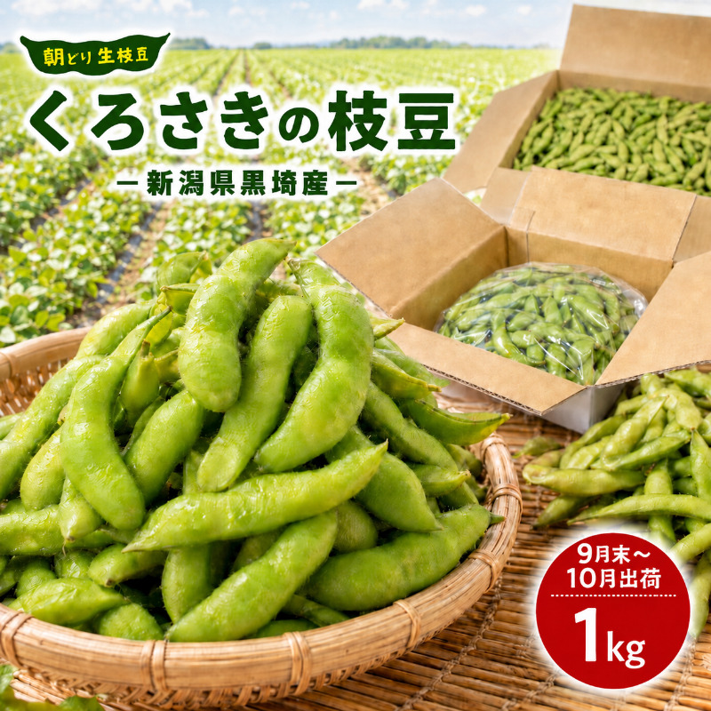 くろさきの枝豆 1kg【9月末～10月配送】 新潟県黒埼産 朝ど