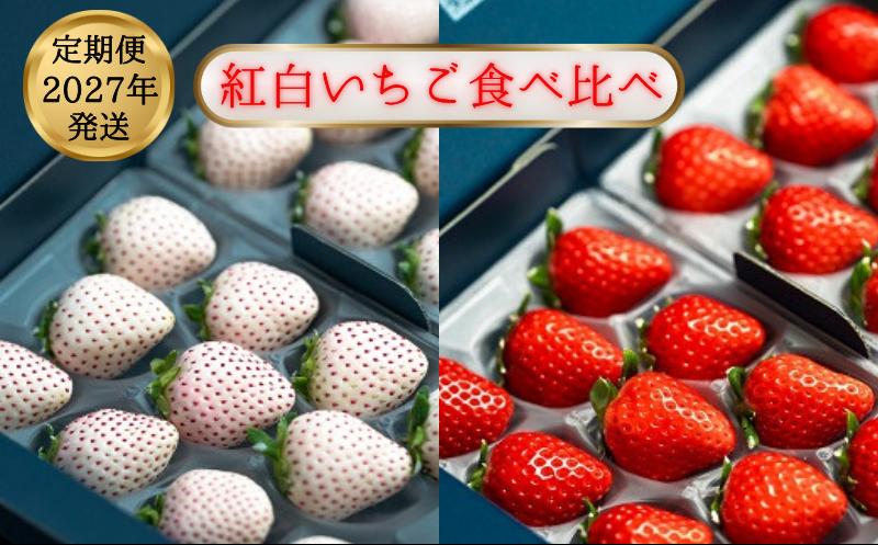 
                  数量限定！先行受付！2027年発送【定期便3回】佐賀県産 紅白いちご食べ比べ さがほのか パールホワイト 苺 イチゴ
                