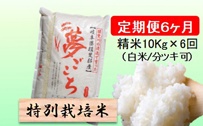 
            特別栽培米★[定期便] 6カ月★毎月 精米10kg（白米/7分/5分ツキ可）【夢ごこち】　玄米は別に出品 お米 令和7年産 低アミロース モチモチ お弁当 おにぎり 安心 安全 美味しい 糖質  [№5644-1161]
          