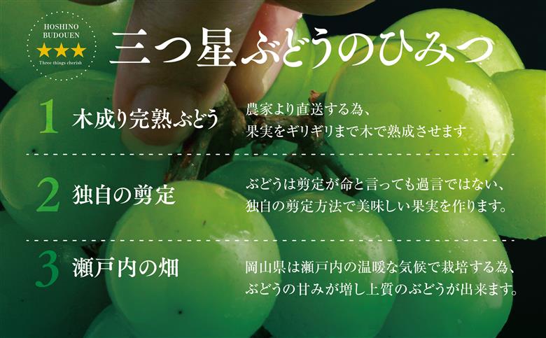 【三つ星ブランド】星乃シャインマスカット プレミアムクラス(岡山県産) 1房×850g以上【配送不可地域：離島・北海道・沖縄県】
