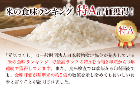 【令和7年度産】元気つくし 9kg 1袋3kg入り わだち農場《30日以内に出荷予定(土日祝除く)》福岡県 鞍手郡 鞍手町 米 コメ 元気つくし 袋 ちらし寿司 こめ