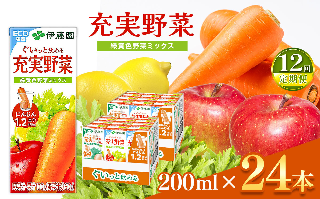 
【定期便12回】紙充実野菜緑黄野菜ミックス２００ｍｌ×２４本伊藤園 | 野菜 ジュース ドリンク 飲料 健康 食品 長期常温可能 1ケース 長野県 松本市 ふるさと納税
