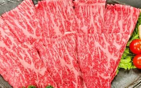 A4～A5限定 九州産 黒毛和牛 赤身 スライス（もも・うで）計1.6kg 400g×4パック 数量限定【2025年7月発送】