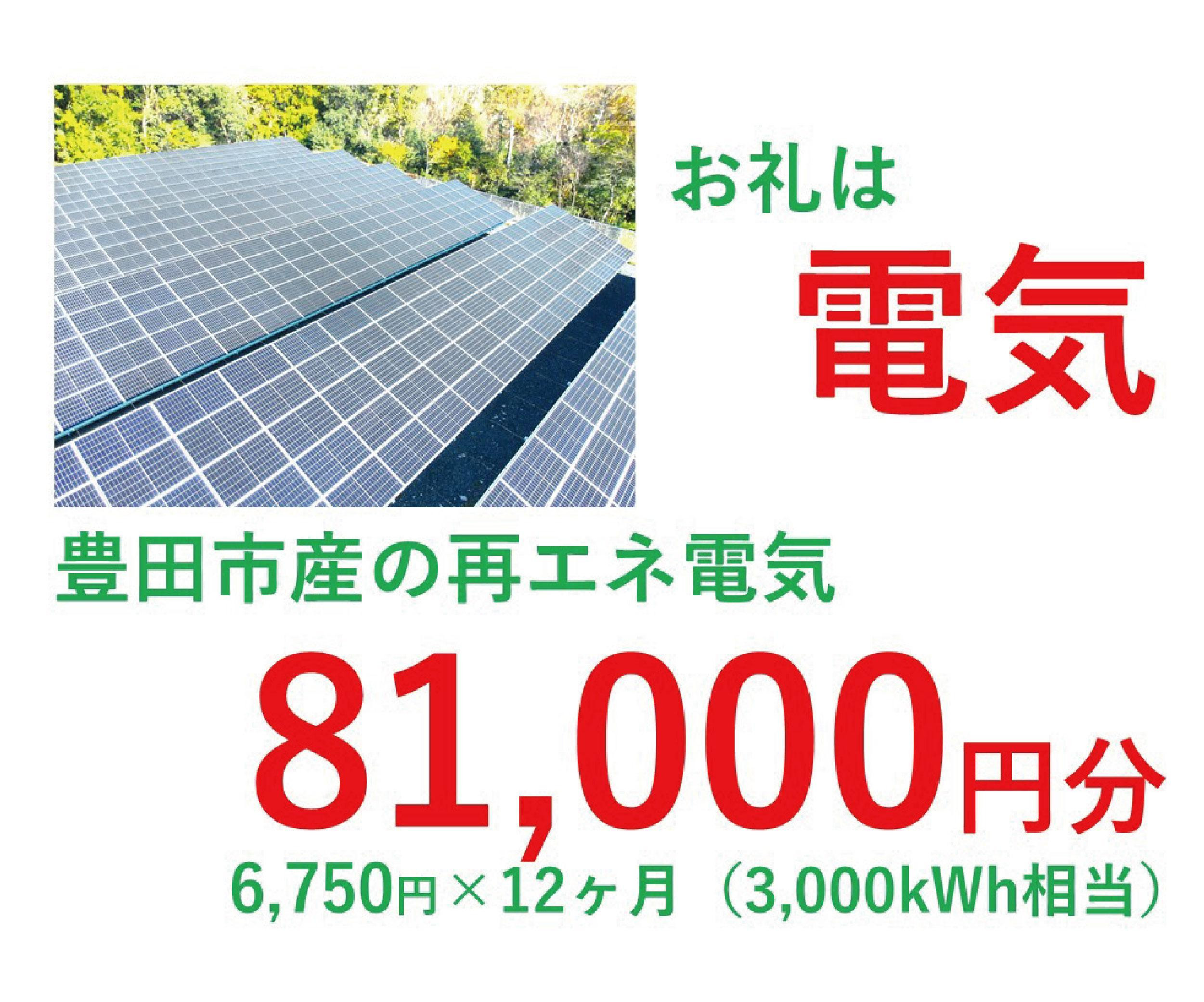 
            おいでんのでんき3,000kWh相当（81,000円分　毎月6,750円分×12ヶ月）【定期便：全12回】
          