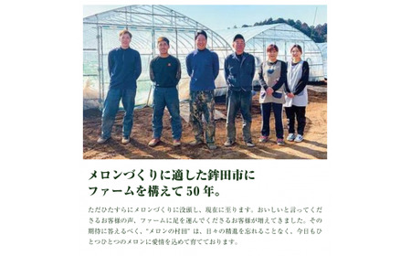 クインシーメロン（1玉入り1箱）1.5kg前後