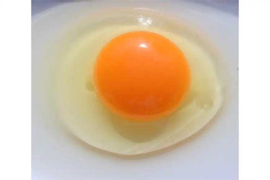 卵 こだわりの卵かけご飯 セット 穂坂のあかたま 10個 2パック 武川米 450g 3袋
