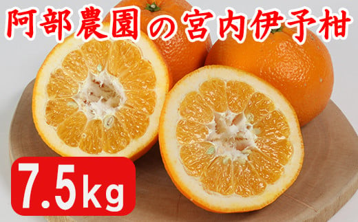 阿部農園の「宮内伊予柑（みやうちいよかん） 約7.5kg」 ／ ミカン みかん 蜜柑 柑橘類 宮内伊予柑 先行予約 数量限定 フルーツ ＜112-012_5＞