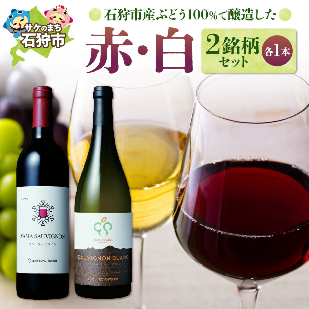 【ふるさと納税】 石狩市産 ぶどう100%で醸造したワイン2銘柄 (赤・白ワインセット) 2本 赤白 国産ワイン 国内産ワイン 北海道産 お酒 洋酒 ワイン ワインセット ロゼ 白 二種類 セット 北海道 石狩市