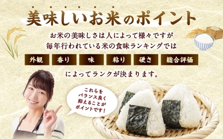 【令和8年産】 夢つくし 香春町産 わぎえ米 10kg 【2026年9月上旬より順次発送】 お米 米 白米 ごはん ご飯 おにぎり 国産 福岡県産 福岡県 香春町