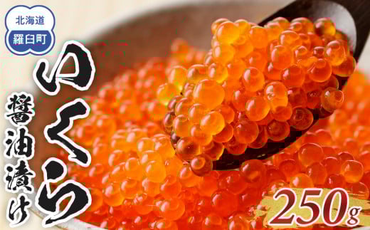 いくら醤油250g 魚卵 秋鮭 イクラ 米 ご飯のお供 おかず 海鮮 羅臼町 北海道 生産者 支援 応援