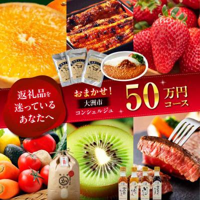 ふるさと納税 大洲市 【大洲市コンシェルジュ】返礼品おまかせ!寄付額50万円コース [AGXX027]